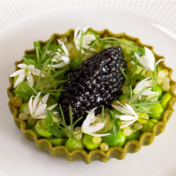 Green Pea Tartelette